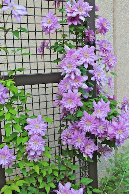 2012 05 04 at 08 32 57