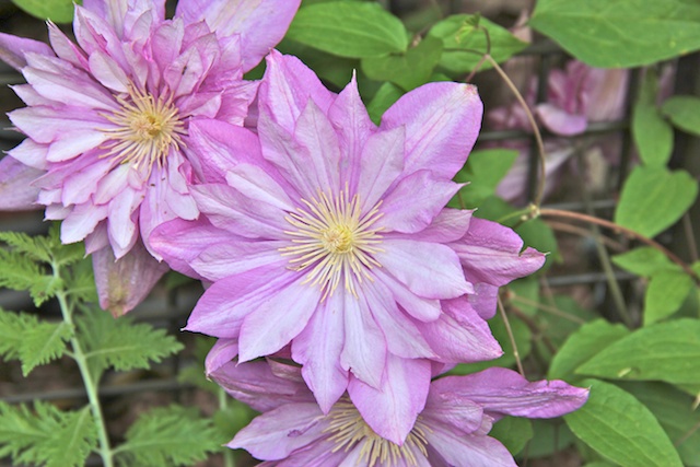 2012 05 04 at 08 38 17