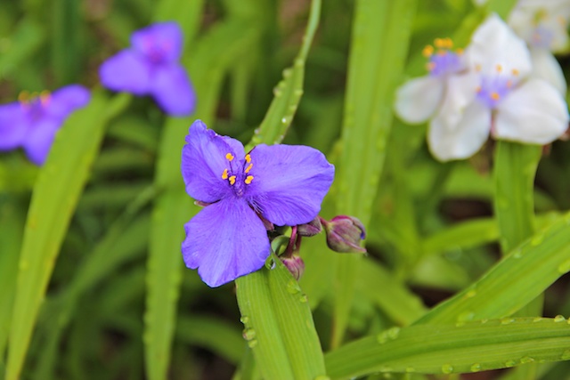 2012 05 04 at 08 38 29