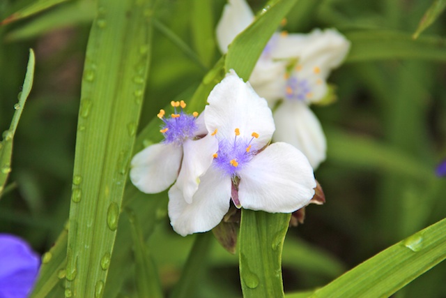 2012 05 04 at 08 38 32