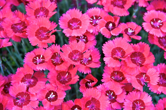 2012 05 04 at 08 39 43