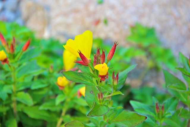 2012 05 04 at 08 39 51